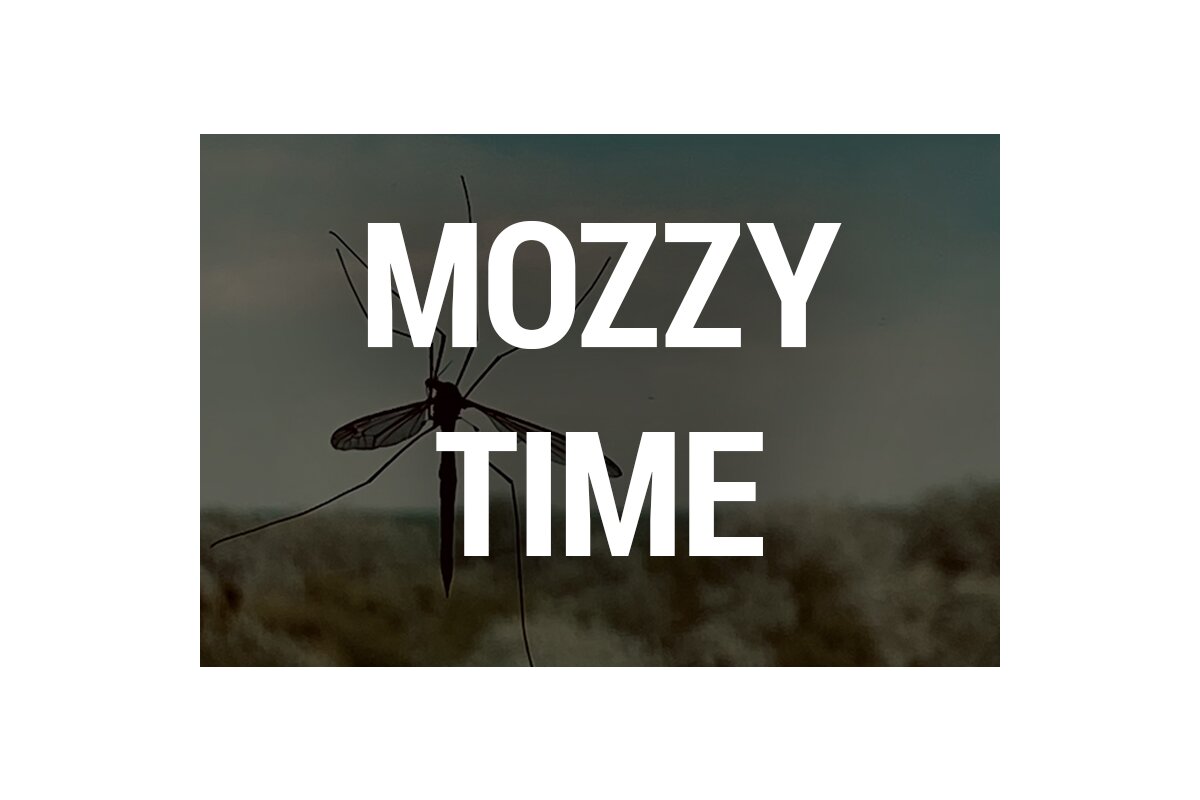 Mückenabwehr am Wasser: Unsere Tipps &amp; Tricks - 