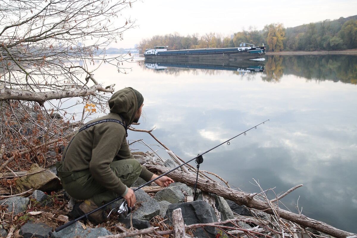 Robustes Arbeitsgerät für kleines Geld: Sportex Competition Carp NT - 