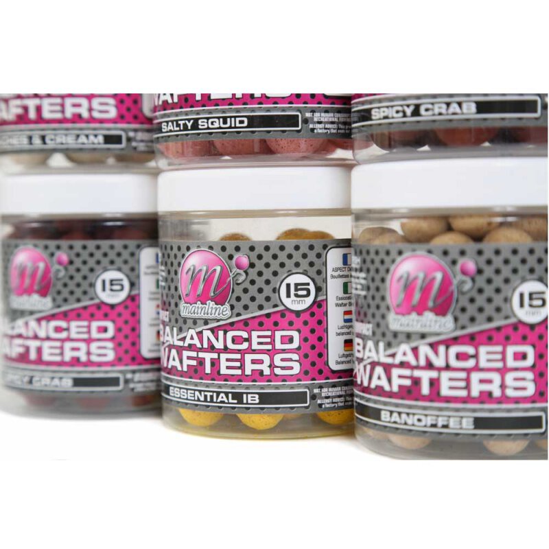 Bouillettes Mainline High Impact - Appât Carpe 1kg Salty Squid 15mm - Qualité Pro Pêche