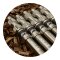 Solar Tackle - P1 Travel-Lite Banksticks - 6inch 15cm