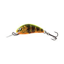 Salmo - Hornet Floating 5cm - Gold Fluo Perch