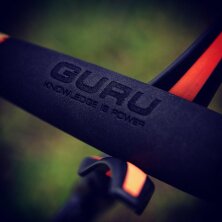 Guru - Aventus Feeder