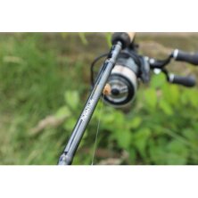 Guru - Aventus Feeder