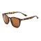 Korda - Sunglasses Shoreditch - Matt Toroise Shell / Brown Lens