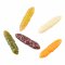 Balzer - Trout Collector Larva Knoblauch - Mix 3 - 3cm