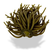 Black Cat - Real Worm Teaser Size 2/0 & 5/1 - 160g