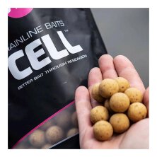 Mainline - Shelf Life Boilies 20mm 1kg