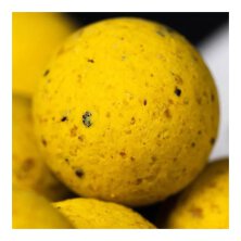 Mainline - Shelf Life Boilies 20mm 1kg - Essentail Cell