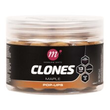 Mainline - Clones Pop Ups 13mm - Maple