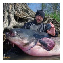 Carp Sounder - Catsounder One