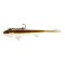 Westin - Twinteez Pelagic V-Tail R N R 21cm 70g