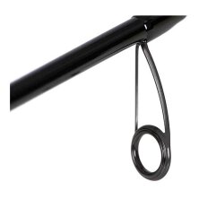 Fox Rage - TR DS Master - 245cm 6-25g