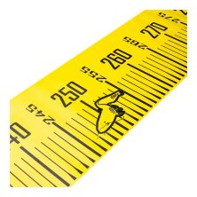 Black Cat - Cat Measure