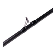 Zeck Fishing - Momentum Cast - 230cm 70g