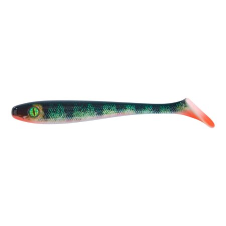 Shirasu - Pike Collector Shad 16cm 25g - Perch - Photo Print