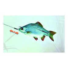 Balzer - MK Adventure Matzes Long Cast System