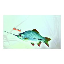 Balzer - MK Adventure Matzes Combo Rig - Size 6