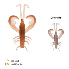 Zeck Fishing - BA Edward 4,5cm - Real Shad