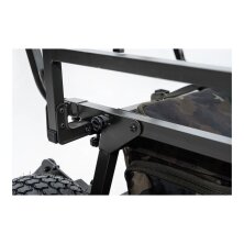 Carp Porter - Trident