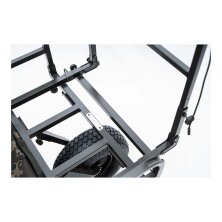 Carp Porter - Trident