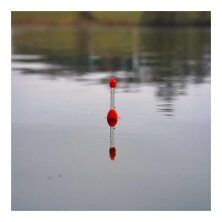 Zeck Fishing - DB Light Waggler