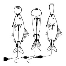 Zeck Fishing - DB Pop Up Kit