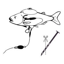 Zeck Fishing - DB Rucksack Float - Small