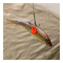 Zeck Fishing - DB Bait Flag