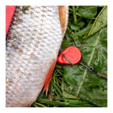 Zeck Fishing - DB Bait Flag