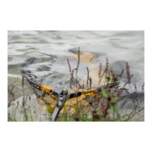 Sportex - Teleskop-Kescher Carbon-Rahmen - 60x50cm 200cm