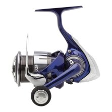 Daiwa - 24 TDR Match & Feeder QD