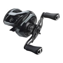 Daiwa - 24 Steez SV TW 100