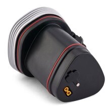 Penn - Fathom Electric Reel Kit - 50LD