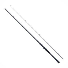 Shimano - 26Zodias Casting - 218cm 14-42g