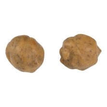 Fox - Edges Tigernuts