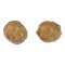 Fox - Edges Tigernuts