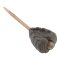 Fox - Edges Tadpole Inline Insert